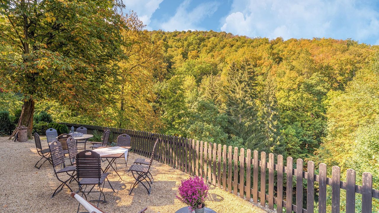 GardenSummer GardenSummer